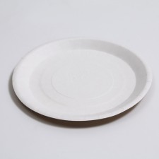 Paper plate, craft, 18 x 18 cm