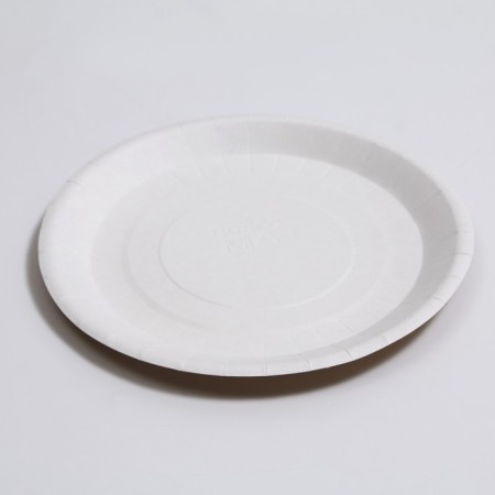 Paper plate, craft, 18 x 18 cm