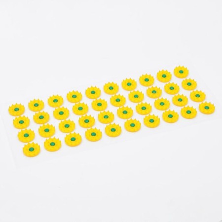 Kuznetsov applicator, 40 spines, film, 14x32 cm.