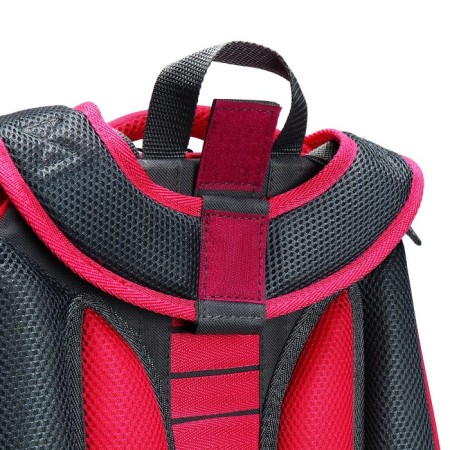 School backpack 38 x 30 x 16 cm, ergonomic back, stavia "york", pink-8
