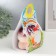 Growing gift Eco -Zhizhivchik "Hamstone Novel" MIX