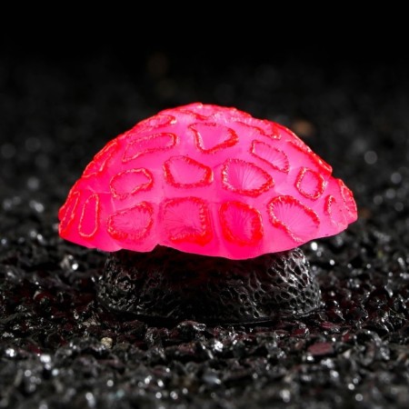 Decor for the Aquarium Coral Faviidae, 5 x 2.5 cm, silicone, pink