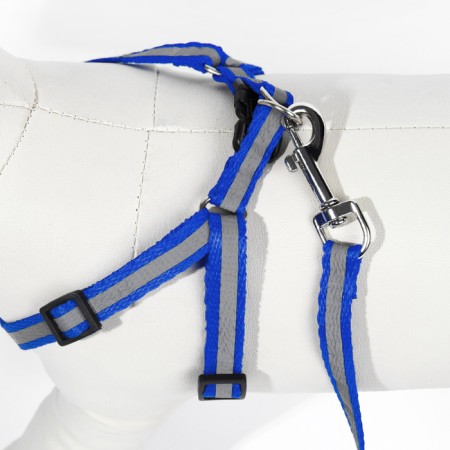 A set with a reflective tape, a collar 120 x 1 cm, OG 26-40 cm, blue-5