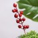 Set of plugs "Berries" 3 pcs, red, 4x4cm, length 20cm