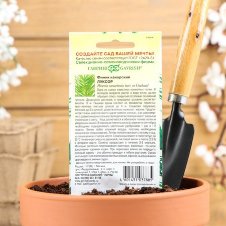 Seeds of indoor flowers dates "Luxor", 2 pcs.-1