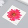 Tattoo on the body color "Chrysanthemum" 6x6 cm