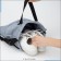 Bag for screed shoes, outer pocket, textura, gray color