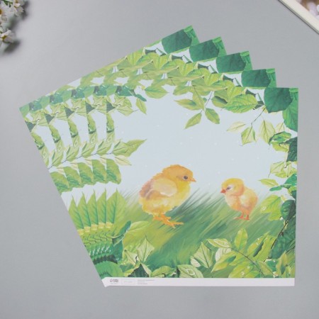 Scrapbooking paper "Chickens on the grass" density 180 grams set 5 pcs 30.5x32 cm-1