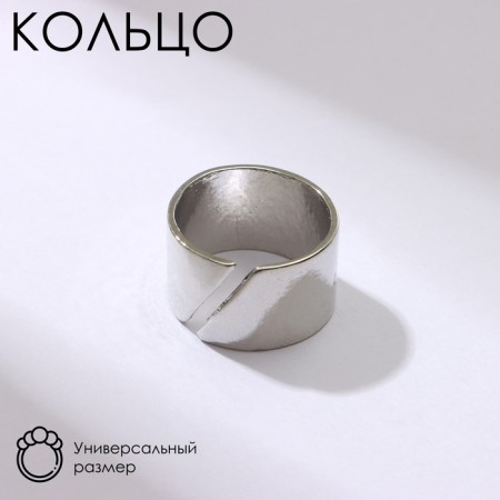 Ring "section" trend, color silver, dimensionless-1