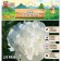 Pion "Duchesse de Nemurs", rr 2/3, 1 pc,