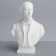 Gypsum figure famous people: Nekrasov bust, 14 x 8 x 20.5 cm
