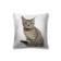 Pillowess decorative "cat with a collar", on a zipper, size 45x45 cm
