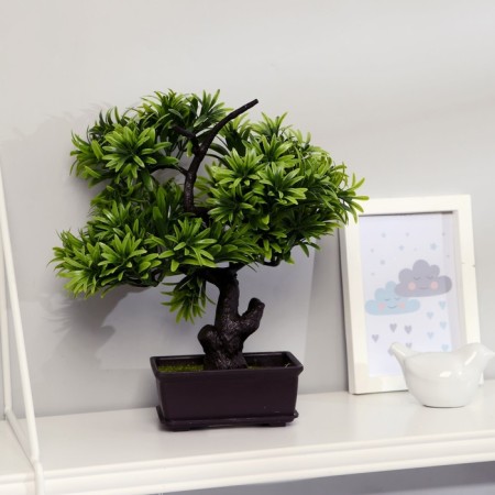Bonsai in the pot "Dracain miniature" 12x28 cm