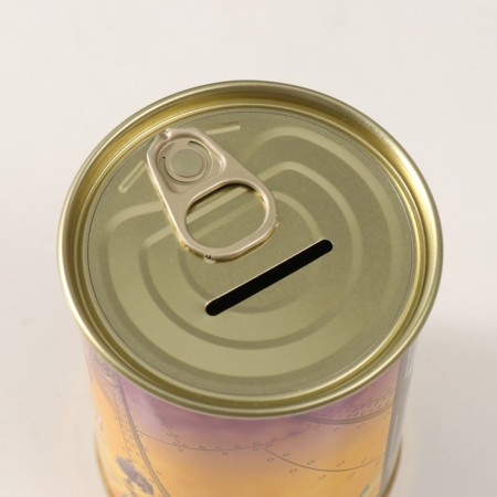 Pigging bank Metal "Personal Storage"-4