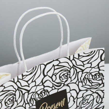 Gift Craft Package, Packaging, Present for You, 25 x 22 x 12 cm-2