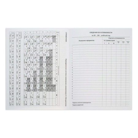 School diary for grade 1-11, Imperial Club on the Grey, solid cover, artificial leather, block 80 g/m2, liesse-10