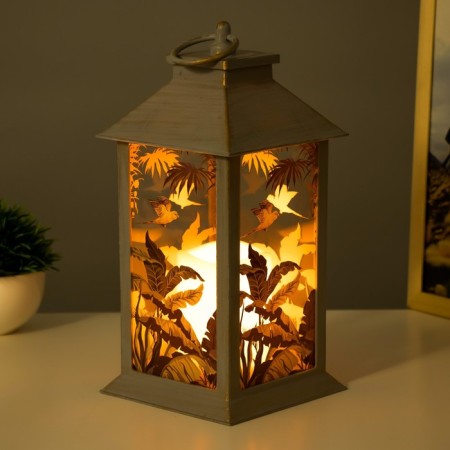 Night Exotes LED from batteries 3HAAA Gray with a golden patina 14x14x29.5 cm Risalux-2