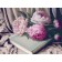 Picture on numbers in the tube "Peonies with a book", 30 x 40 cm