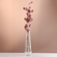 Set of dried flowers 