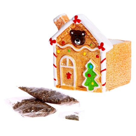 Set for experiments “grow grass”, house, in the package