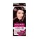 Garnier Color Sensation Cream-hair, tone 4.12 Cold diamond brown