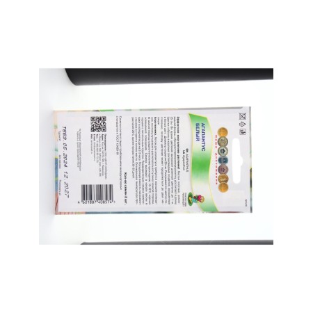 Flower seeds Agapantus White, 3pcs-1