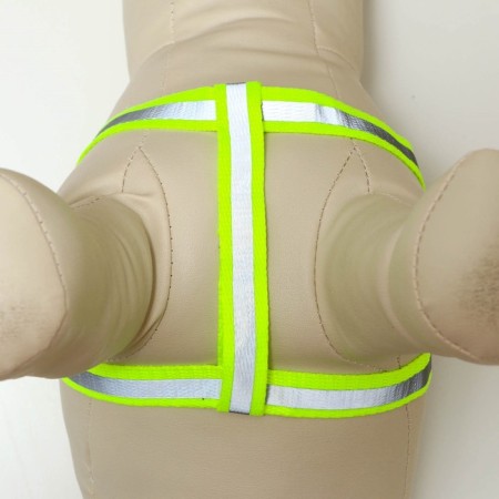 Set "braid", fluorescent, harness 32-48 cm, leash 115 x 1 cm, green-5