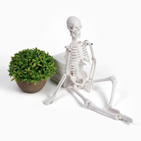 Halloween. Decor-figure "Skeleton" with mobile arms and legs, 45 cm-1