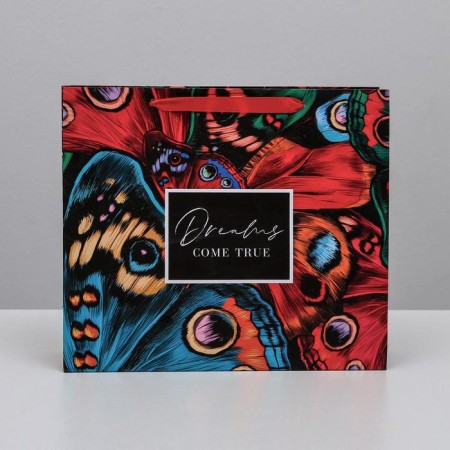 Gift Laminated Horizontal Package, packaging, Dreams Come True, M 26 x 30 x 9 cm-2