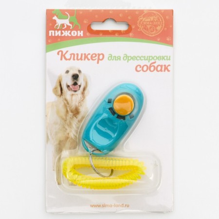 Clider for training dogs with a bracelet on the hand, blue-3