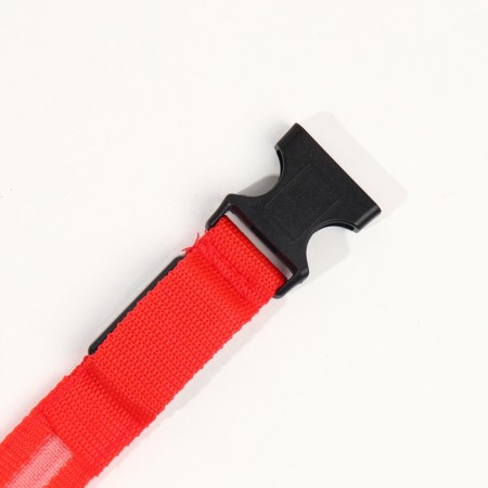 Collar with backlight size m, Osh 40-48 x 2.5 cm, 3 glow modes red-9