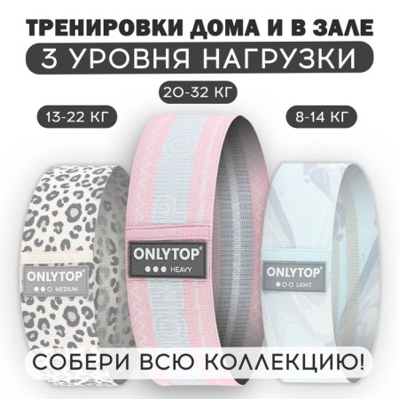 Pink Heavy Fitness Resume, load 20-32 kg-1