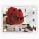 Wall watches: flowers, "rose with a gift", silent, 20 x 26 cm