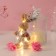 Set Gift "Bunny in the overalls" soap pink roses 5 pcs, dew 7x7x12 cm