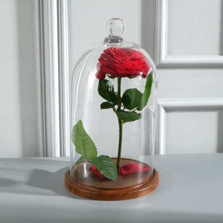 Glass dome-redflower with a ball on the stand "Rodrik", 29x15 cm, glass, brown-1