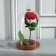 Glass dome-redflower with a ball on the stand "Rodrik", 29x15 cm, glass, brown