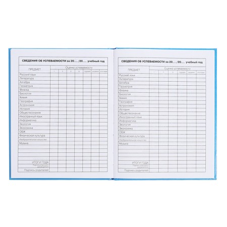 Diary for grades 5-11, 48 sheets "Inspiration!", Firm cover, glossy lamination, block 60 g/m2-10