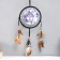 Dreams YX37 "Gray Wolf" Circle d = 20 cm