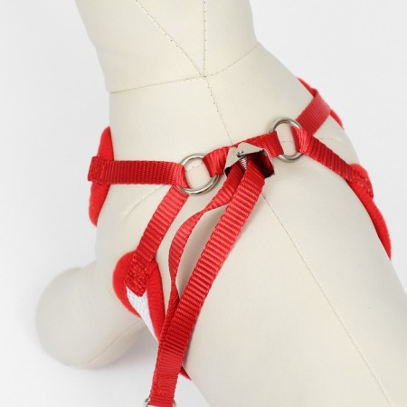 A set with a soft harness and a bow, size l, leash 120 x 1.5 cm, og 35-50 cm, red-3