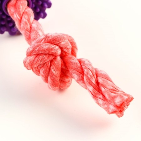 Chewing toy "gear on a rope", up to 20 cm, red-3