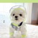 Commentary raincoat for dogs, rr s (DS 25, OG 37 cm, weight 3-5 kg), transparent yellow