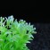 Set of artificial plants for aquarium (2 pcs), 12 cm
