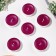 Hooley candles flavored "mountain lavender" in gift boxes, 18 pcs