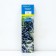Edible honeysuckle (Northern Garden series) "Tungus", 1 pc, tube, spring 2024