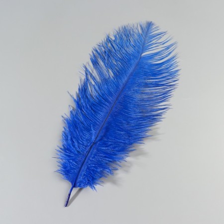 Feather of ostrich 25-30 cm, blue-1