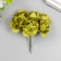 Flowers for decorating "tea roses" 1 bouquet = 6 colors 9.5 cm olive