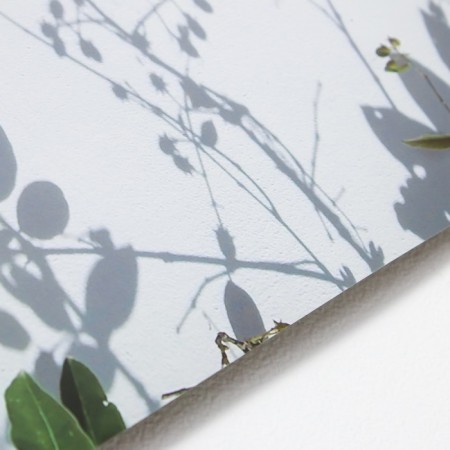 Photophone bilateral paper 300 gr "elegant plants" 57x87 cm-2