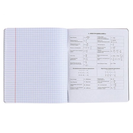 Subject notebook, 48 sheets, cage, physics, erichkrause "Inscription", cardboard cover of Twin-lax, block offset 100%, information block-5