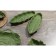 Serving share "Leaf", 25 × 9 × 2.8 cm, green color