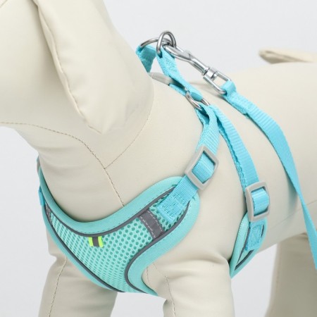 A set with a soft harness, fast-open, s, leash 140 cm, Osh 39-41 cm, og 44-48 cm, turquoise-4